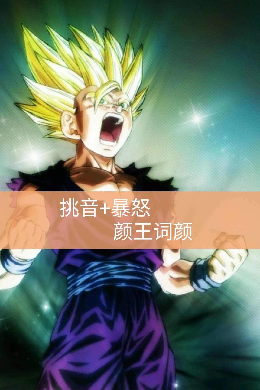 颜王词颜哟94的快手