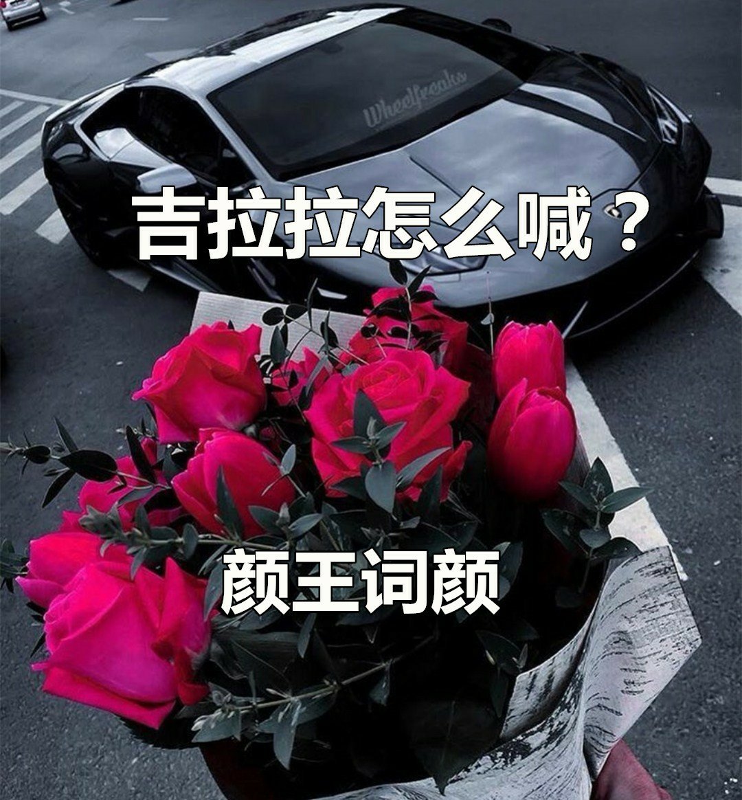 02 - 颜王词颜会发光78的快手