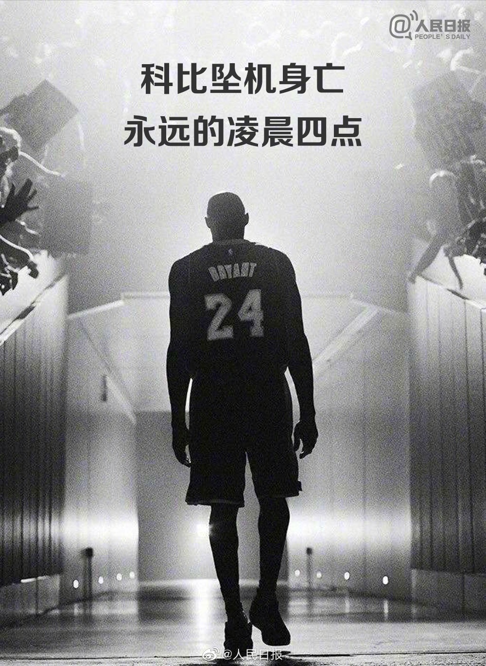 敬礼前辈《科比》#nba#致敬科比           550