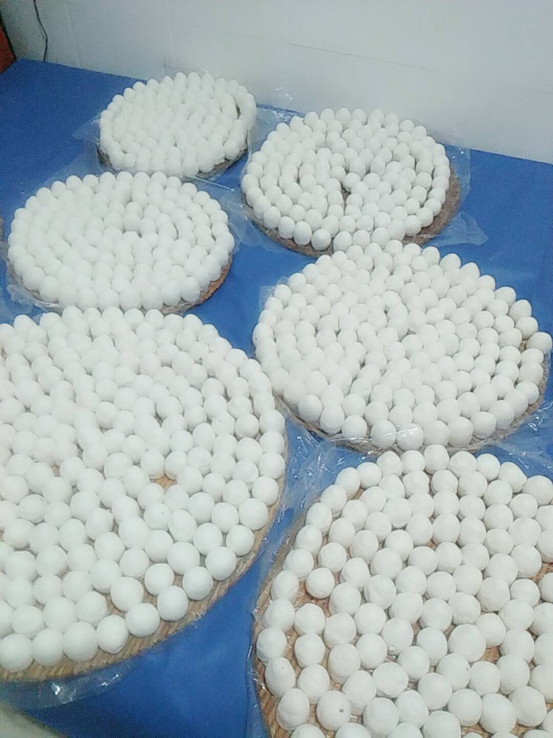 11174110月前 看看我家的豆包大小 3 6 531 0 卫小哥10月前 666665