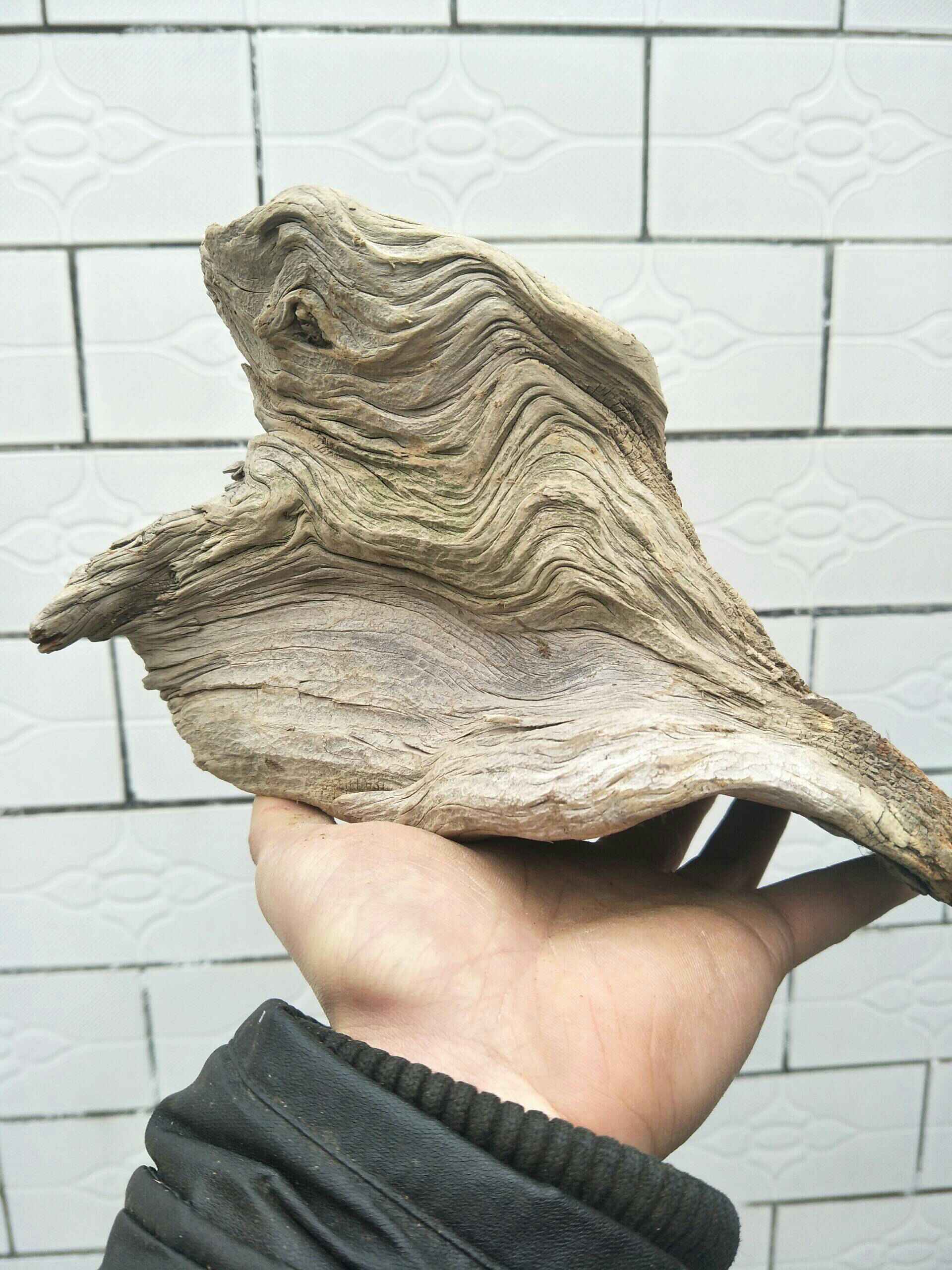 崖柏毛料