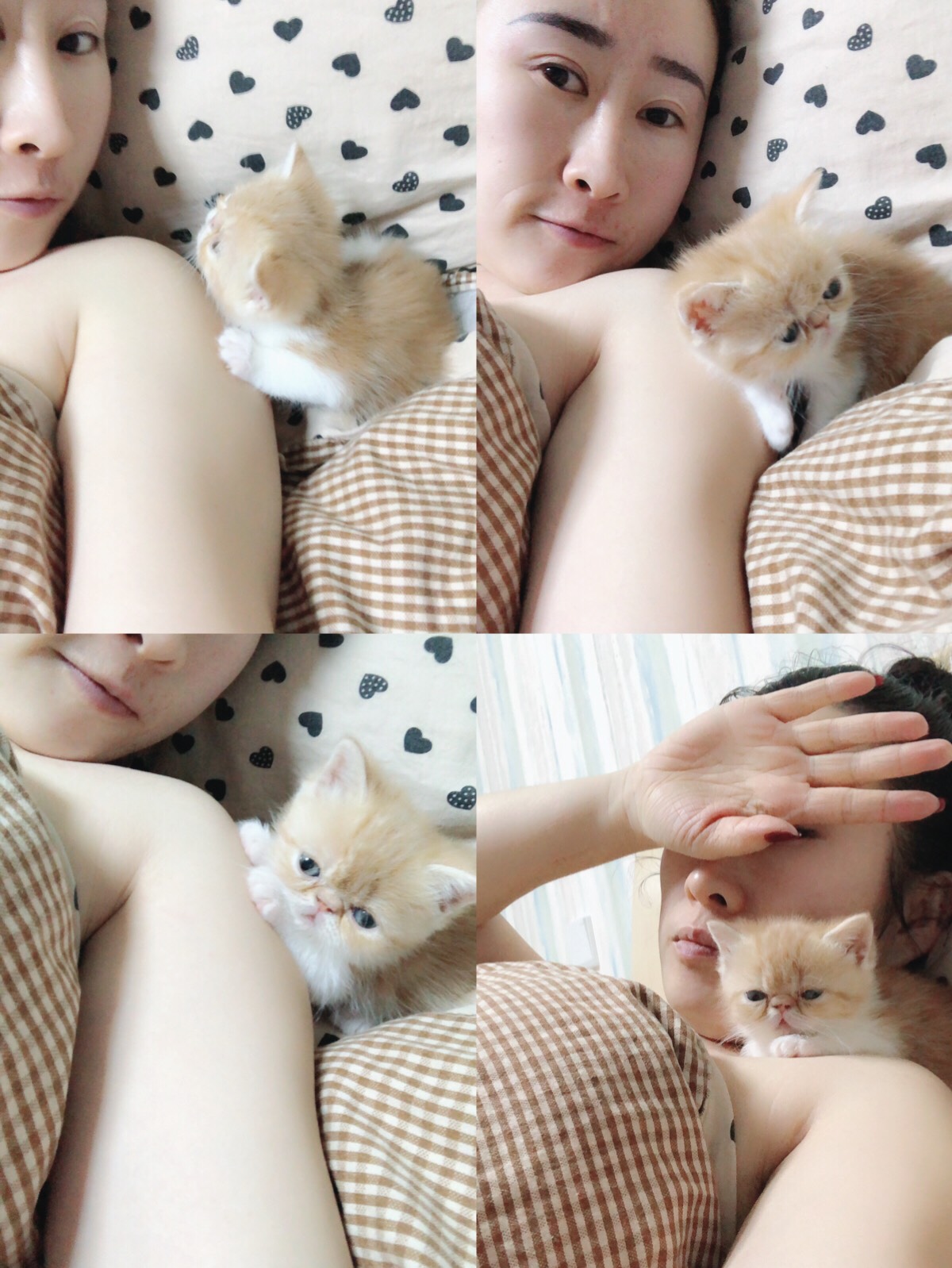 开张合照吧04 - 天&93猫猫狗狗的快手