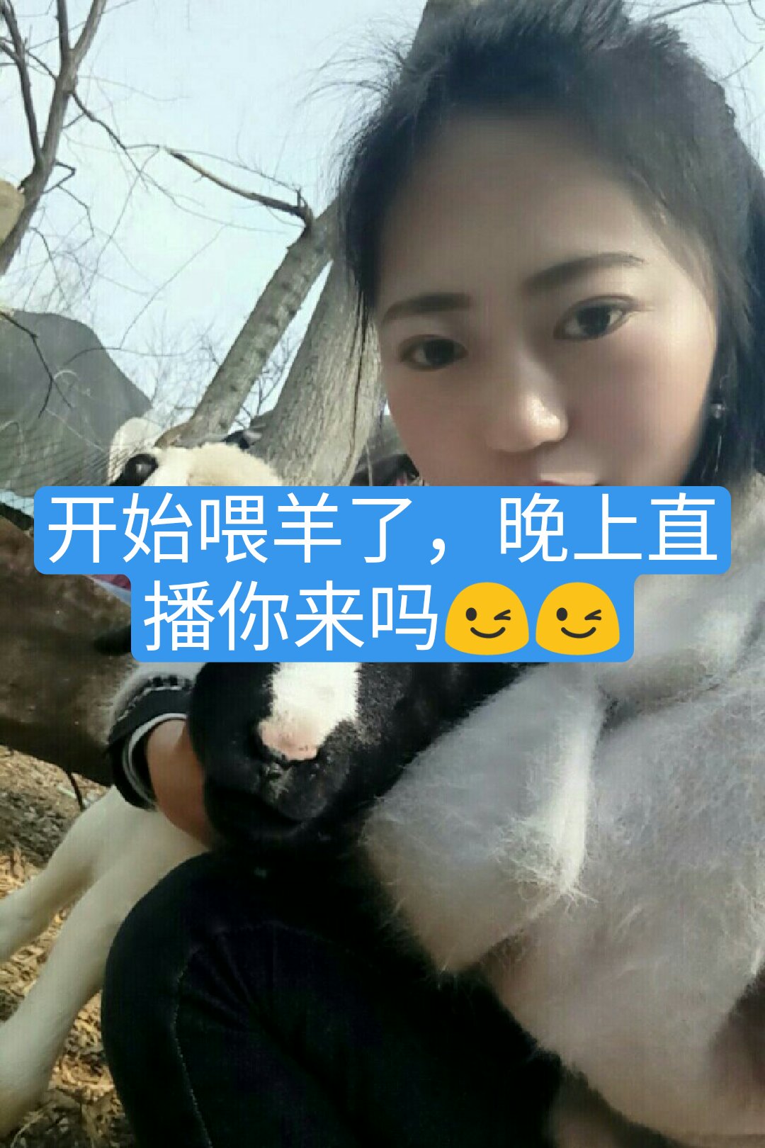 90后养羊小夫妻97的快手