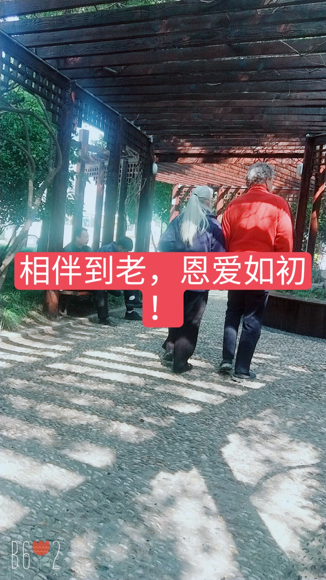 相伴到老,恩爱如初!  181                     0              2年前